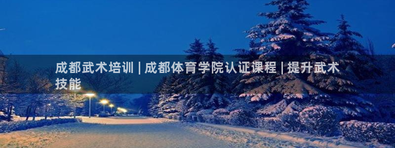 尊龙注册码：成都武术培训 | 成都体育学院认证课程 