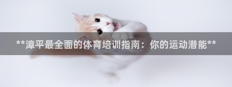 凯时网址多少