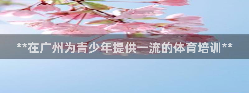 尊龙凯时几百万怎么下款：**在广州为青少年提供一流的