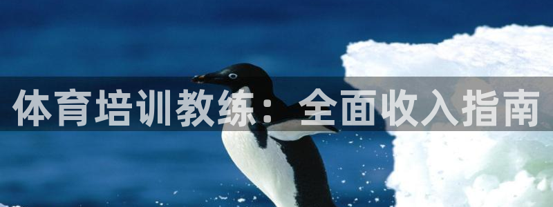 凯时在线平台官网：体育培训教练：全面收入指南