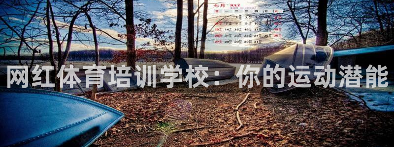 尊龙凯时输了100万：网红体育培训学校：你的运动潜能