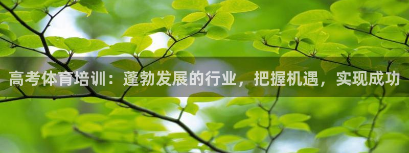 凯时官网下载客户端：高考体育培训：蓬勃发展的行业，把
