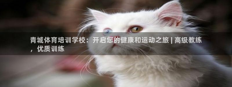 尊龙登录地址：青城体育培训学校：开启您的健康和运动之
