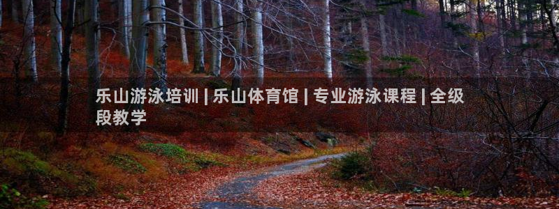 尊龙t500和t300区别