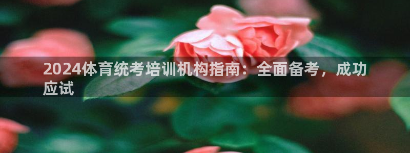 尊龙游戏官方网：2024体育统考培训机构指南：全面备