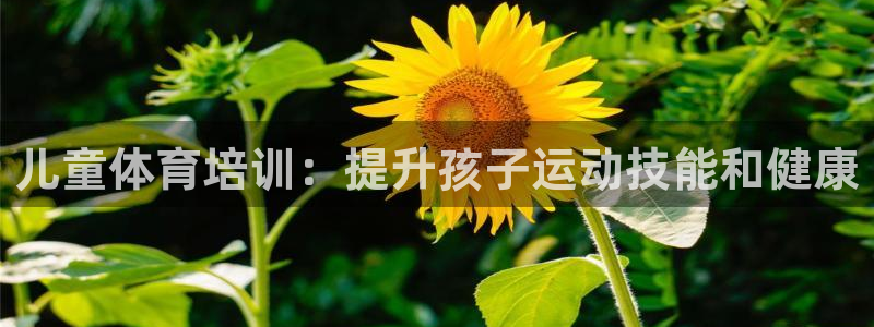 尊龙凯时app安装：儿童体育培训：提升孩子运动技能和