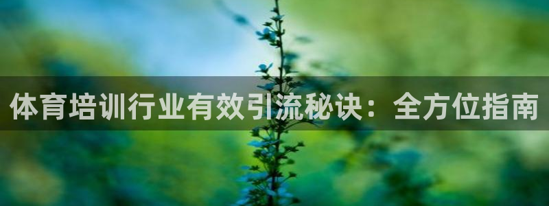 凯时AG网：体育培训行业有效引流秘诀：全方位指南