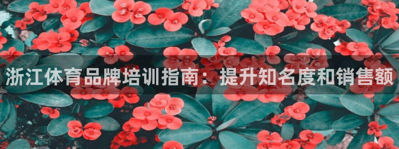 凯时k8娱乐唯一官网：浙江体育品牌培训指南：提升知名