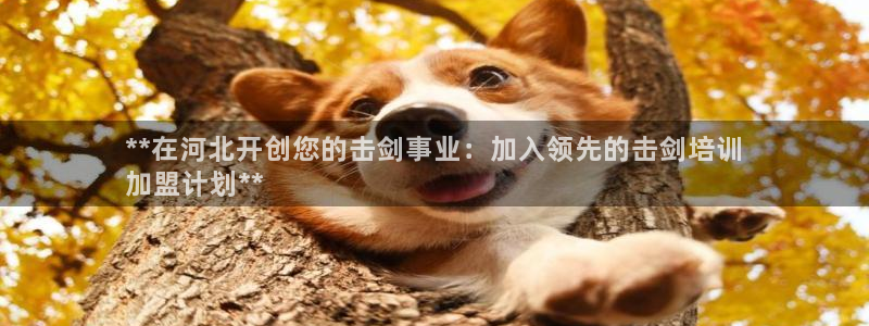 凯时登录平台去AG发财网：**在河北开创您的击剑事业