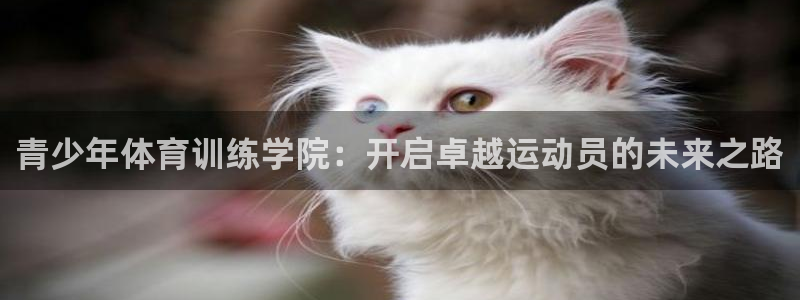 尊龙登录会员登录：青少年体育训练学院：开启卓越运动员