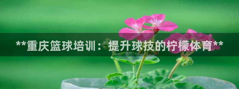尊龙凯时人生就博官网：**重庆篮球培训：提升球技的柠