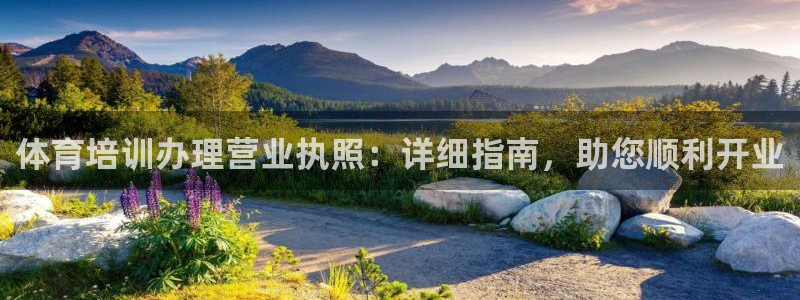 尊龙凯时注册：体育培训办理营业执照：详细指南，助您顺