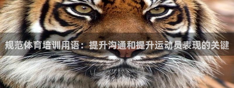z6com尊龙：规范体育培训用语：提升沟通和提升运动