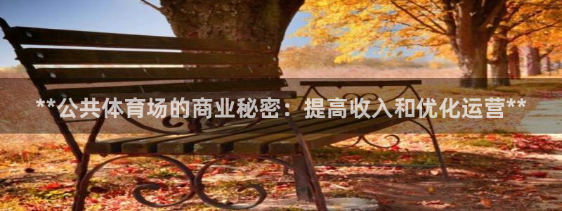 尊龙凯时台子：**公共体育场的商业秘密：提高收入和优