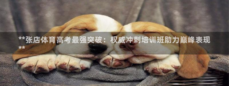 尊龙凯时老板：**张店体育高考最强突破：权威冲刺培训