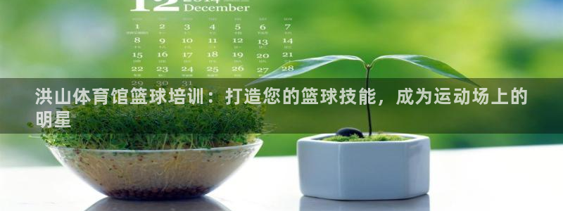 尊龙网址苹果版下载：洪山体育馆篮球培训：打造您的篮球