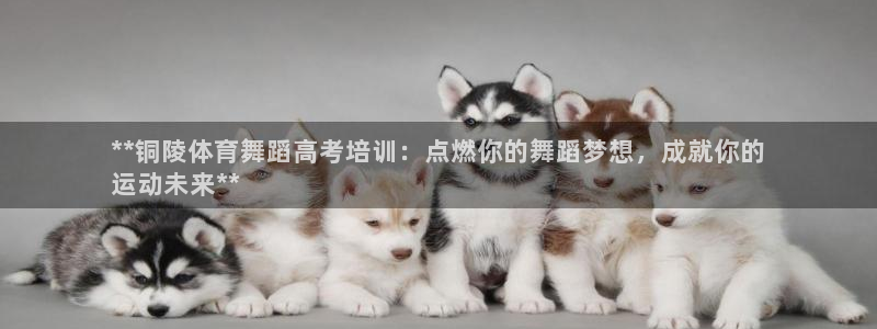 尊龙凯时-人生就是博中国官网最新：**铜陵体育舞蹈高