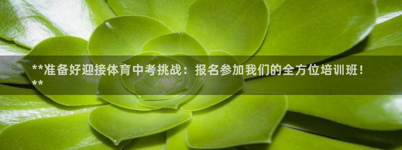 尊龙app怎么样
