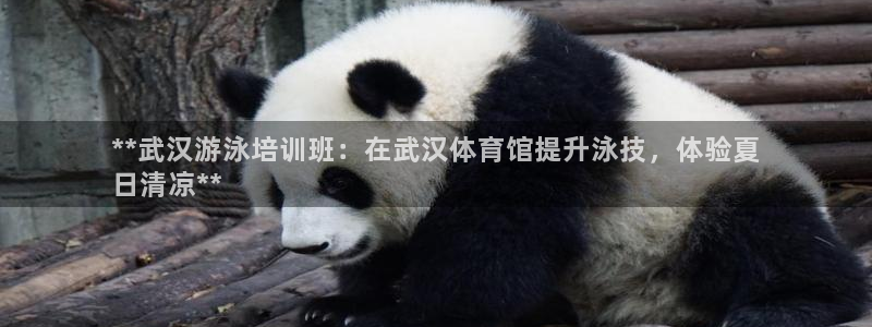 尊龙凯时网站怎么样：**武汉游泳培训班：在武汉体育馆