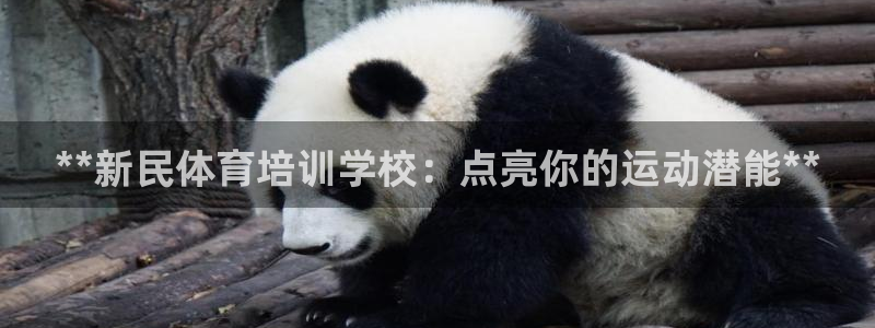 凯时尊龙官网网址：**新民体育培训学校：点亮你的运动