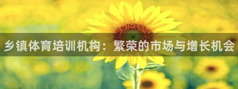 尊龙人生就是博旧版网址：乡镇体育培训机构：繁荣的市场
