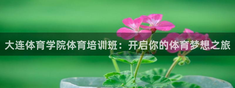z6尊龙凯时旗：大连体育学院体育培训班：开启你的体育