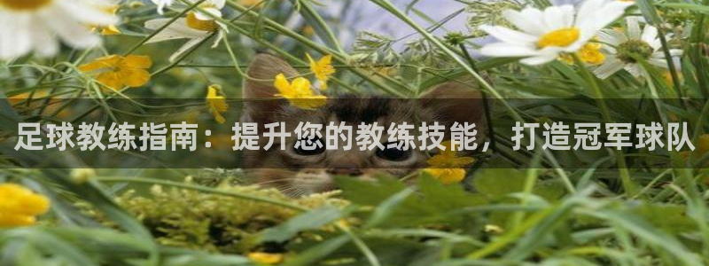 尊龙王t400：足球教练指南：提升您的教练技能，打造