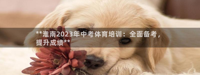 凯时a88：**淮南2023年中考体育培训：全面备考