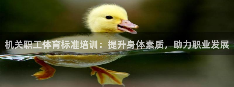 尊龙网站人生就是博：机关职工体育标准培训：提升身体素