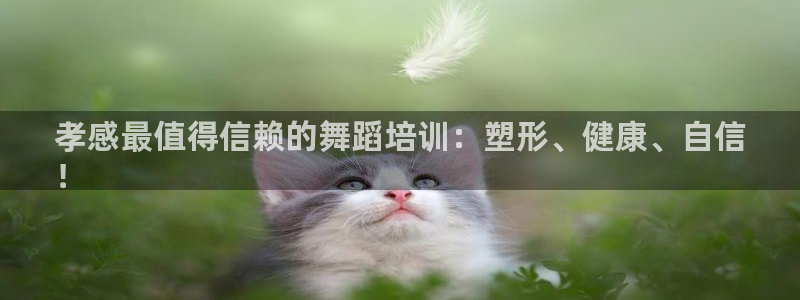 尊龙人生就是博AG旗舰厅：孝感最值得信赖的舞蹈培训：