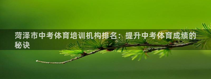 AG尊龙凯时注册：菏泽市中考体育培训机构排名：提升中