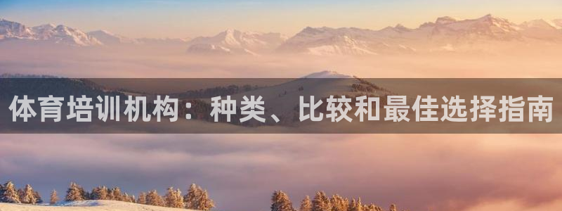 凯时登录：体育培训机构：种类、比较和最佳选择指南