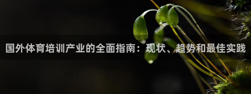 尊龙目前在哪：国外体育培训产业的全面指南：现状、趋势