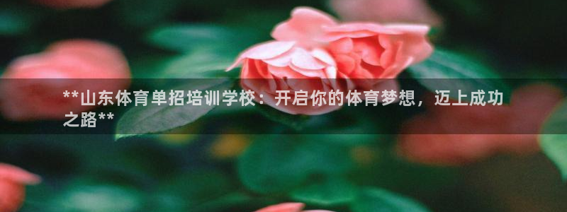 尊龙凯时网：**山东体育单招培训学校：开启你的体育梦