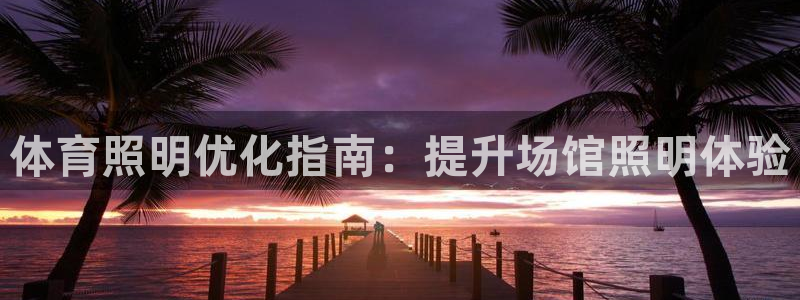 尊龙平台有谁玩过：体育照明优化指南：提升场馆照明体验