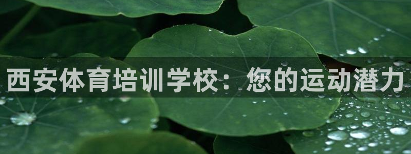 凯时国际app首页登录入口：西安体育培训学校：您的运