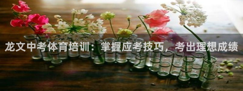 尊龙凯时人生就是博游戏网站：龙文中考体育培训：掌握应
