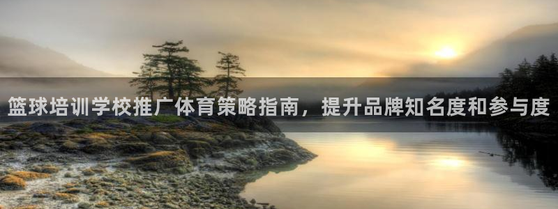 尊龙凯时新闻：篮球培训学校推广体育策略指南，提升品牌