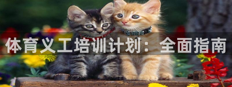 尊龙 am i blue：体育义工培训计划：全面指南