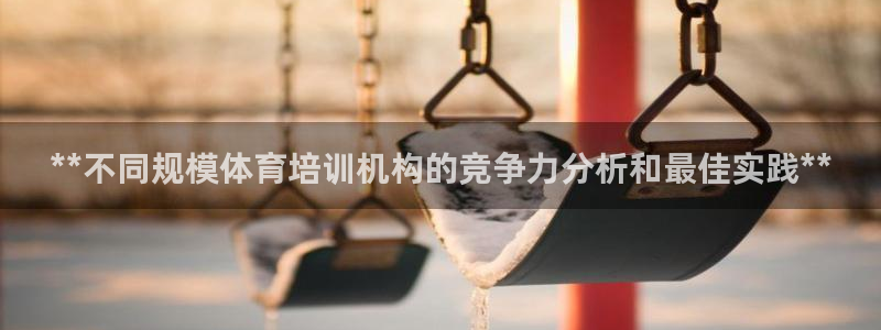凯时K8国际：**不同规模体育培训机构的竞争力分析和最佳实践