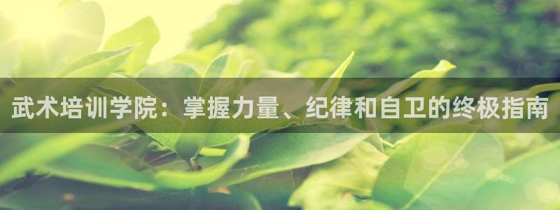 尊龙凯时几百万怎么下：武术培训学院：掌握力量、纪律和