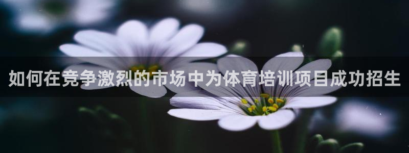 尊龙凯时 人生就是搏客服：如何在竞争激烈的市场中为体
