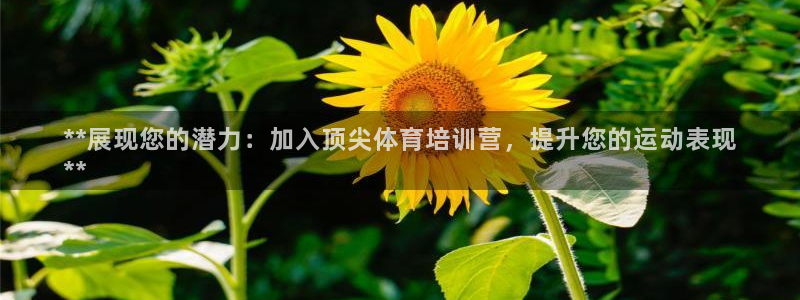 尊龙凯时贴吧：**展现您的潜力：加入顶尖体育培训营，