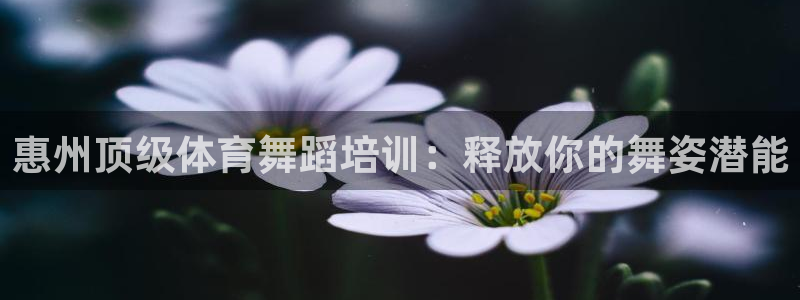 尊龙t600：惠州顶级体育舞蹈培训：释放你的舞姿潜能
