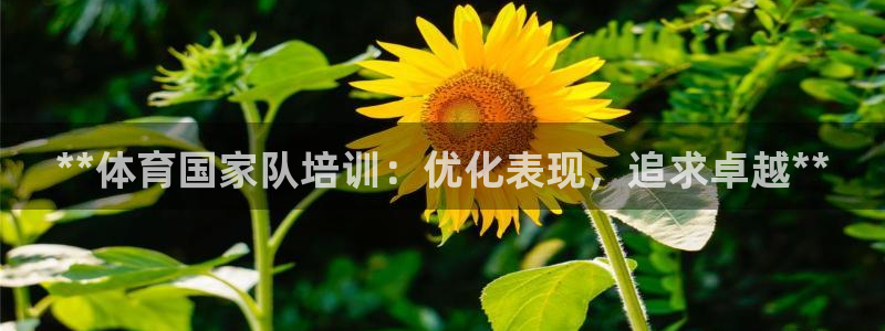 凯时ag旗舰厅网址是什么：**体育国家队培训：优化表