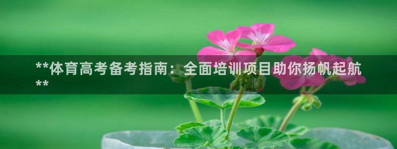z6尊龙官网：**体育高考备考指南：全面培训项目助你扬帆起航