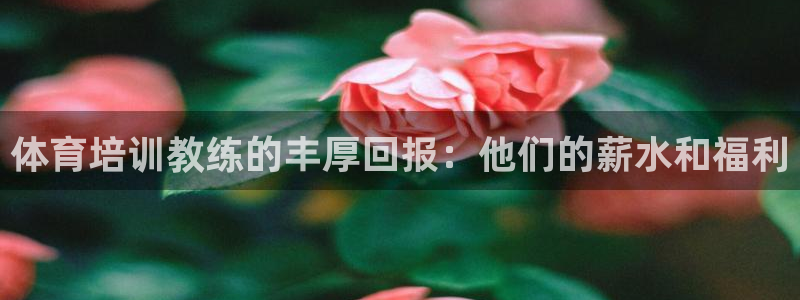 尊龙凯时注册：体育培训教练的丰厚回报：他们的薪水和福