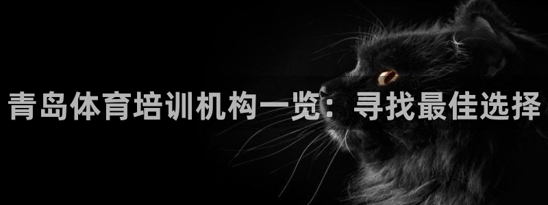 尊龙凯时人生就是博·(中国)：青岛体育培训机构一览：
