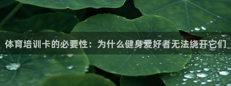 尊龙AG发财网：体育培训卡的必要性：为什么健身爱好者
