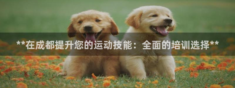 尊龙集团有限公司地址：**在成都提升您的运动技能：全